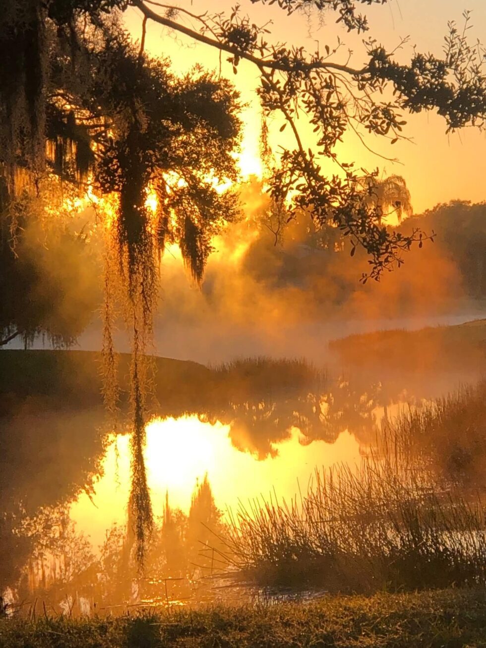 Photo Gallery Sorrento Woods HOA